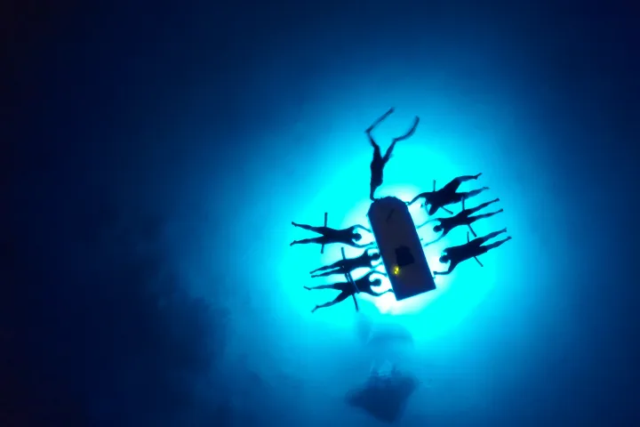 Snorkelers looking for Manta Rays at Night - 3