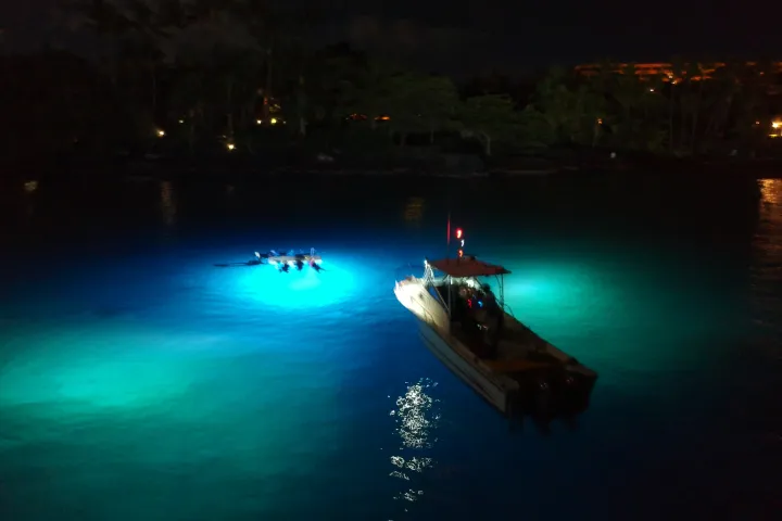 divers looking for mantas while holding on to a raft