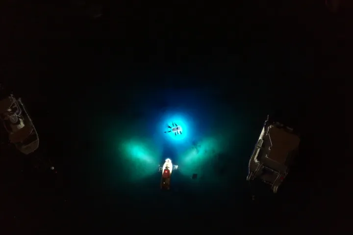 snorkelers holding on to the raft, watching manta rays