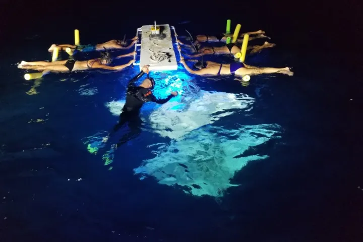 night manta Ray snorkeling