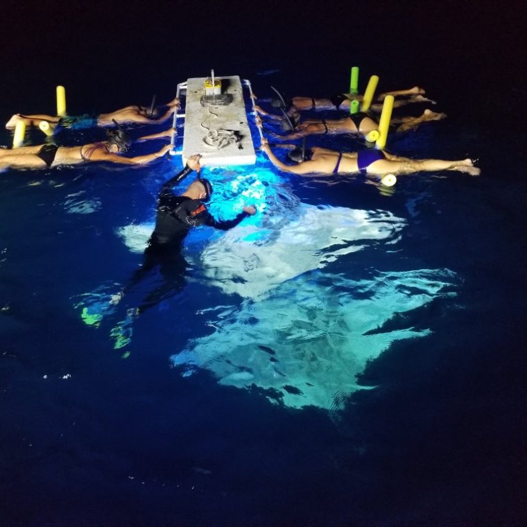 night manta Ray snorkeling