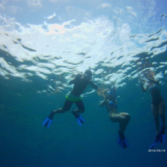 My Kona Adventures - Snorkeling fun for anyone!