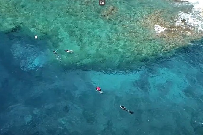 a group of people swimming in a pool of water